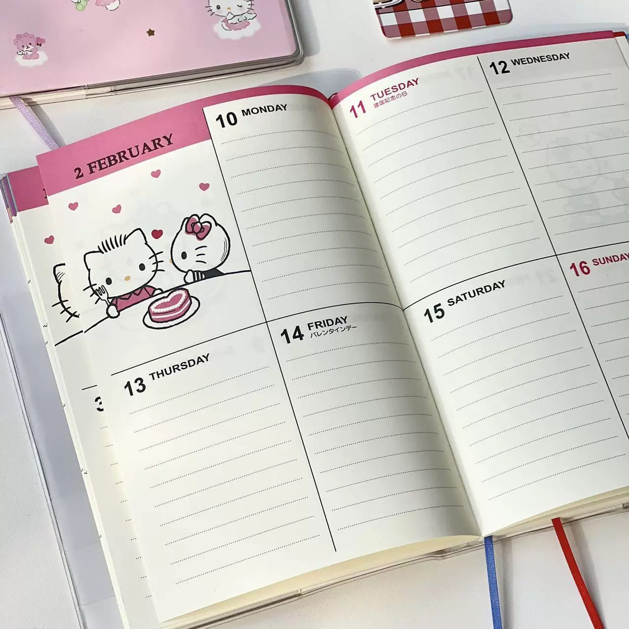 Kitty 2025 Diary